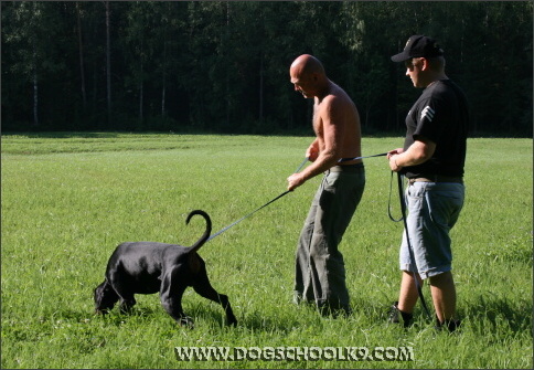 Summer training camp in Finland 2007